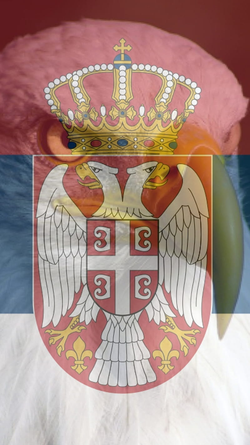 Srbija orao, eaglee, gojakovic, serbia, srpska zastava, zastava, HD phone wallpaper