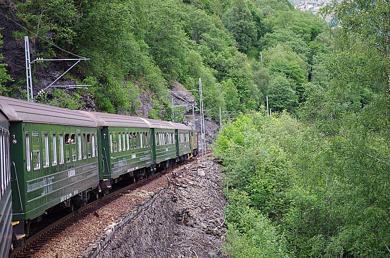 Norway Flam Railway, Train, Forest, Flam, Norway, HD wallpaper