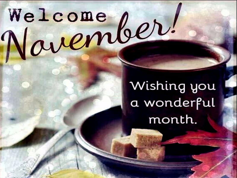 Welcome November, Hot Chocolate, Abstract, November, Cup, Month, HD wallpaper