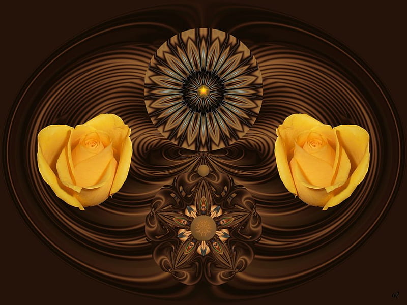 Southwestern Rose, 3d, fractal, collage, abstract, eye candy, HD wallpaper