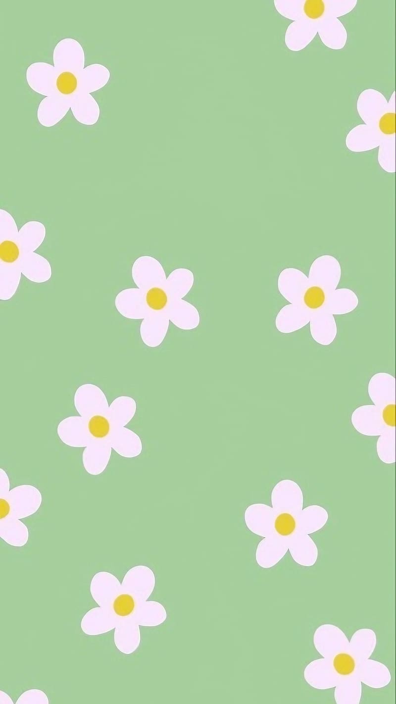 Download Spring Daisy In Pastel Green Wallpaper  Wallpaperscom