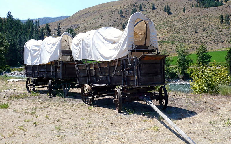 Covered Wagons, , frontier, washington, transportation, old, HD wallpaper