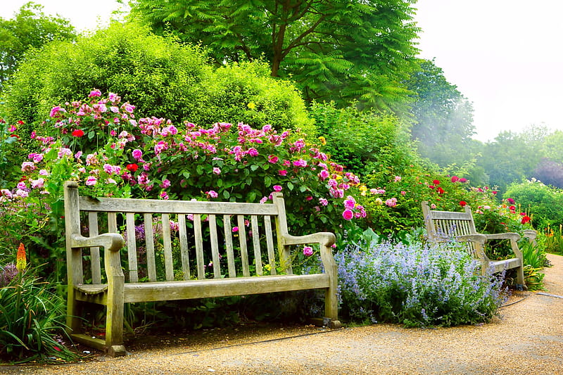 Bench in spring park, flowers, garden, bench, spring, park, roses, rest, greenery, bonito, bush, walk, HD wallpaper