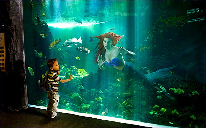 Little Boy and Mermaid, pretty, art, mermaid, bonito, woman, sweet, graphy,  boy, HD wallpaper | Peakpx