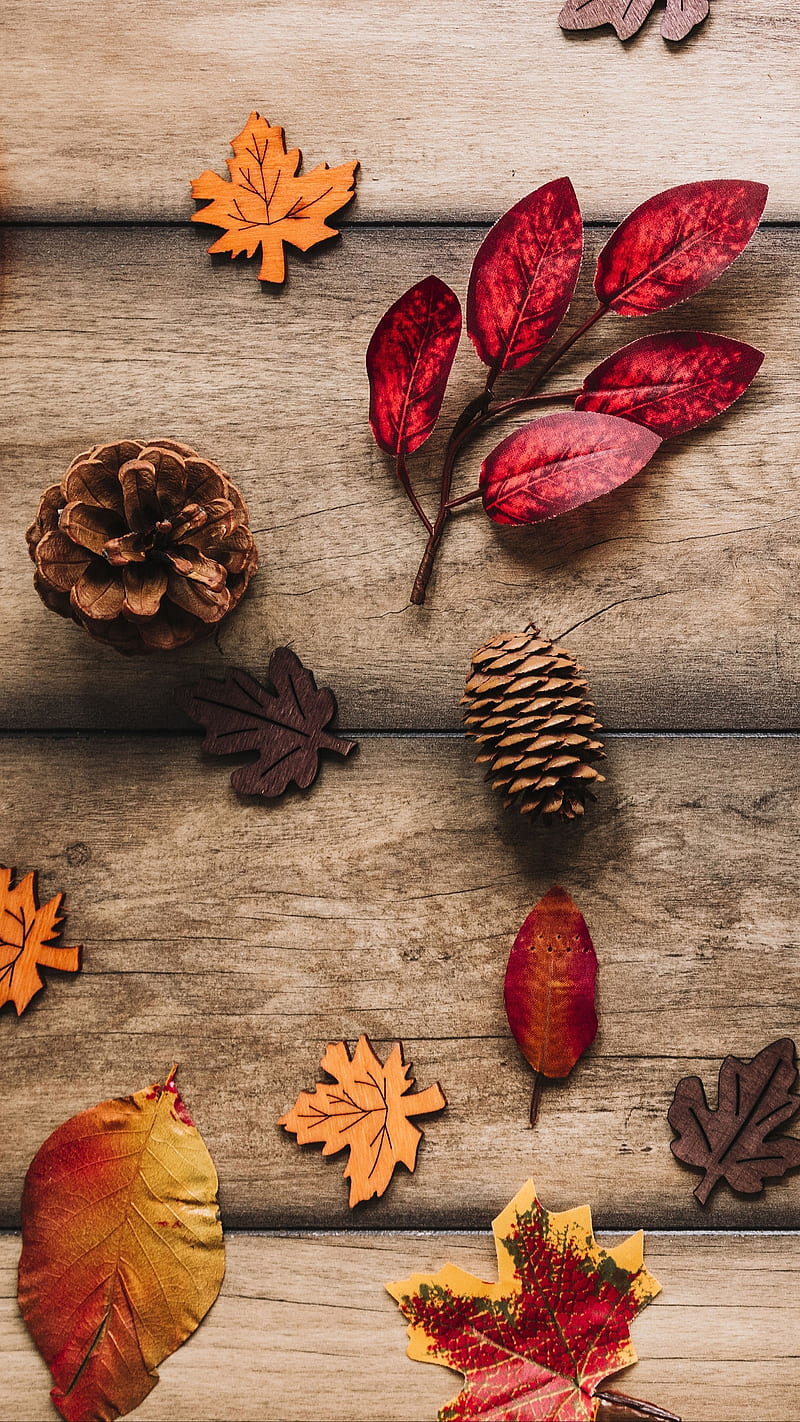 Leaves, fall nature, orange leaves, pine, red leaves, wood, wooden, HD phone wallpaper