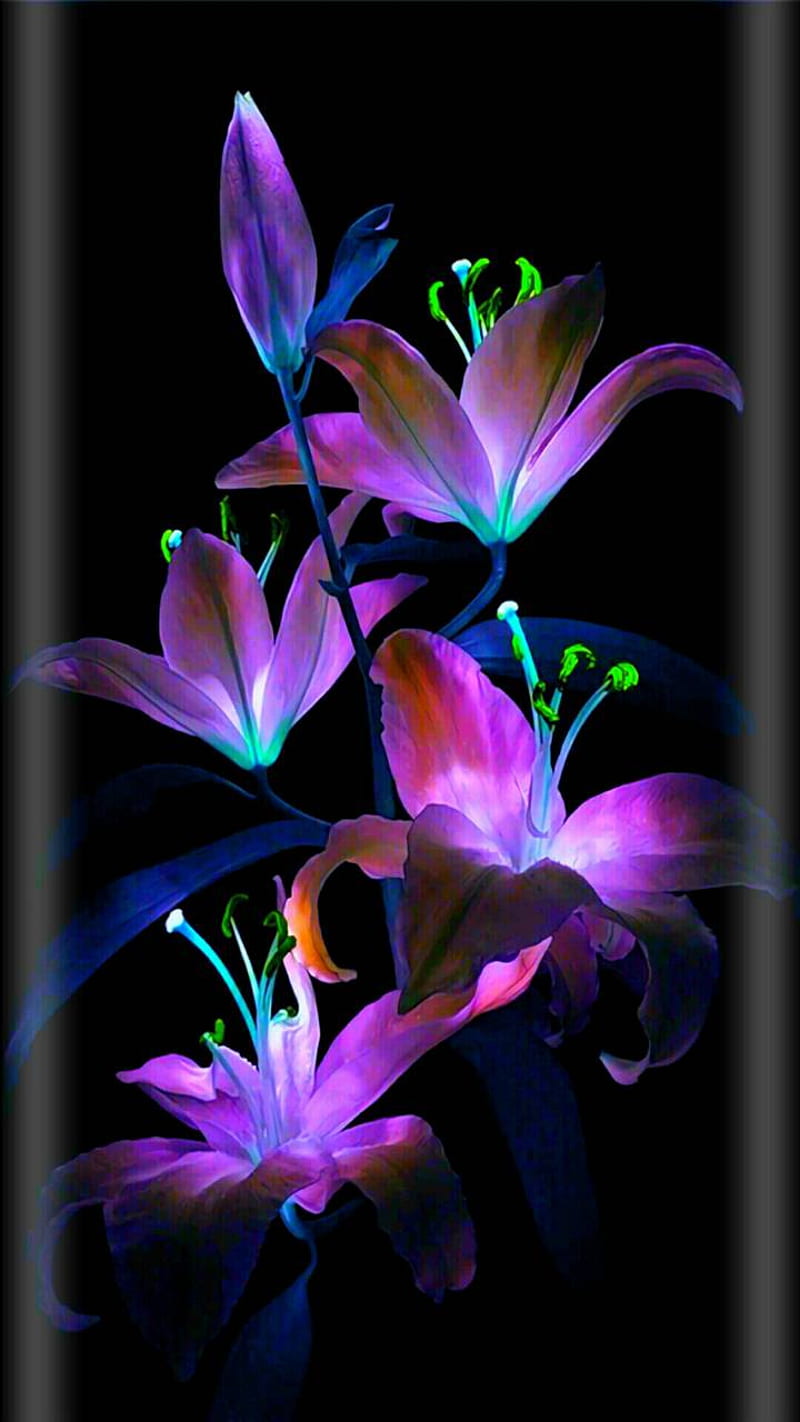 Purple Flower, art, lilies, HD phone wallpaper