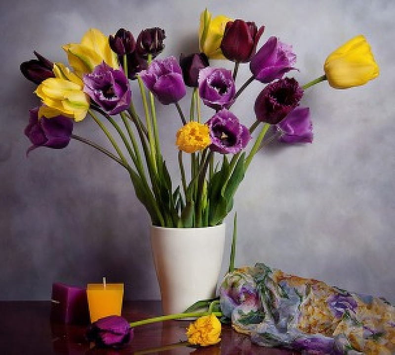 Tulips, still life, amazing, flowers, HD wallpaper