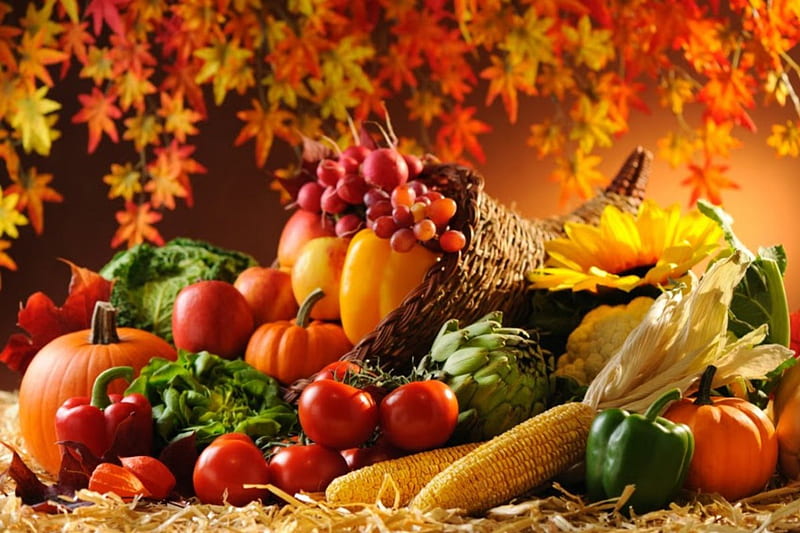 Fall Harvest, corn, Fall, fruits, sunflower, tomatoes, grapes, leaves, cornucopia, flower, vegetables, Autumn, peppers, pumpkins, HD wallpaper
