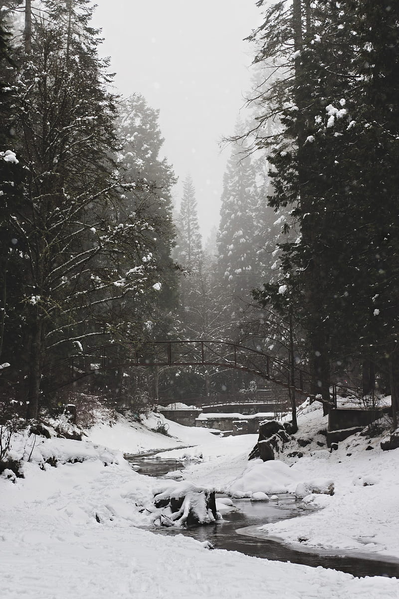 river, bridge, snow, trees, winter, HD phone wallpaper