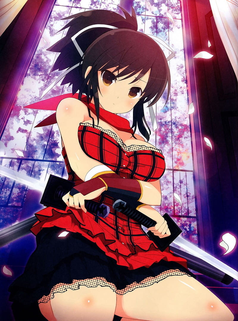 Senran Kagura, anime girls, anime, weapon, HD phone wallpaper