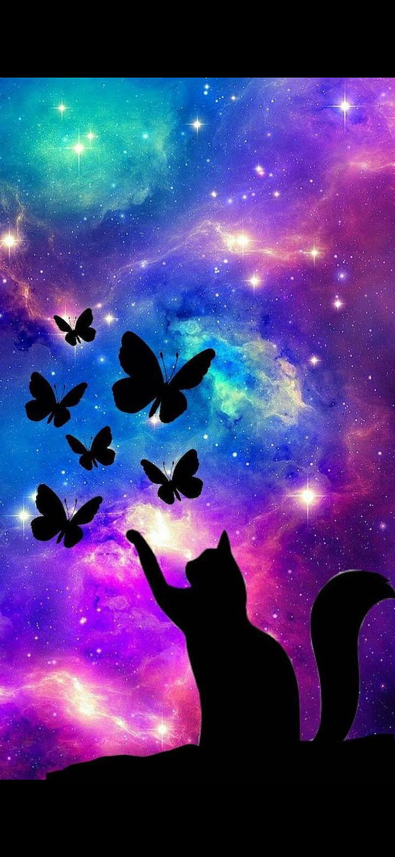 Cat, butterfly, galaxy, HD phone wallpaper