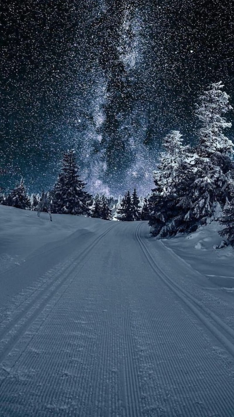 Snow, aurora, borealis, natural, neige, nuit, winter, hiver, etoile, froid, HD phone wallpaper