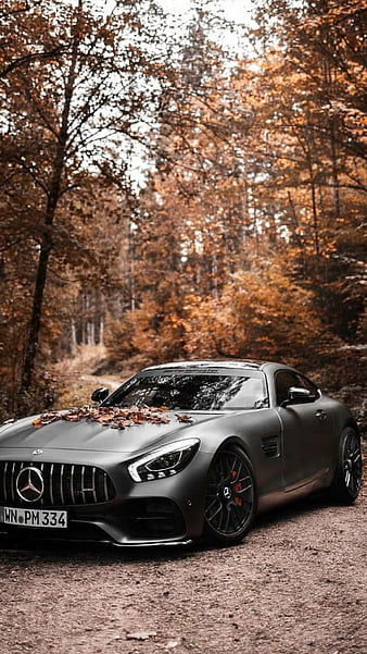 Autumn AMG GT, mercedes, black, car, supercar, sports, america, HD phone wallpaper