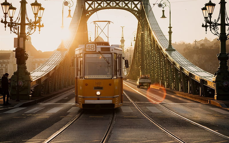 tram, evening Liberty Bridge, Budapest, Hungary, travel, HD wallpaper