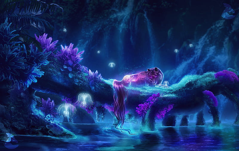fantasy creature, wolf, forest, water, magical creatures, night, Fantasy, HD wallpaper