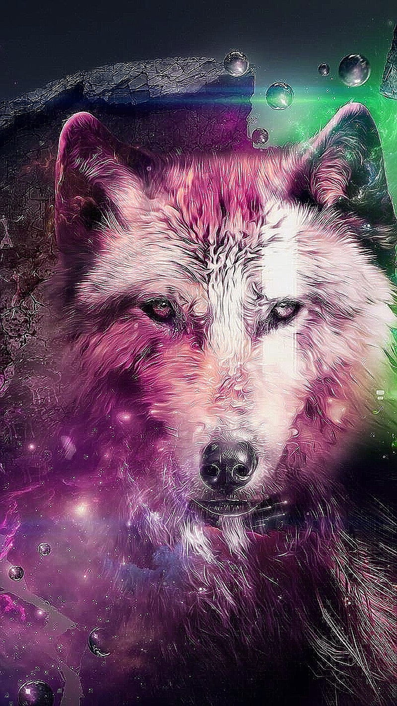 Pink space wolf, HD phone wallpaper | Peakpx