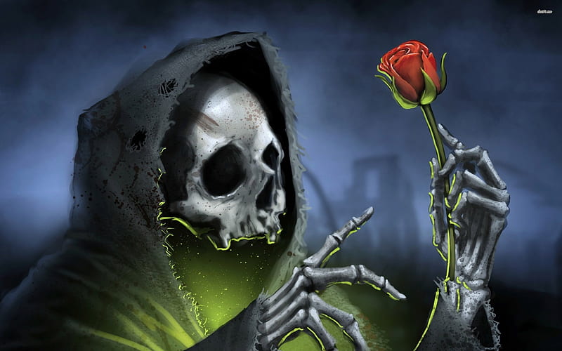 death and a rose, flower, skeleton, death, rose, HD wallpaper