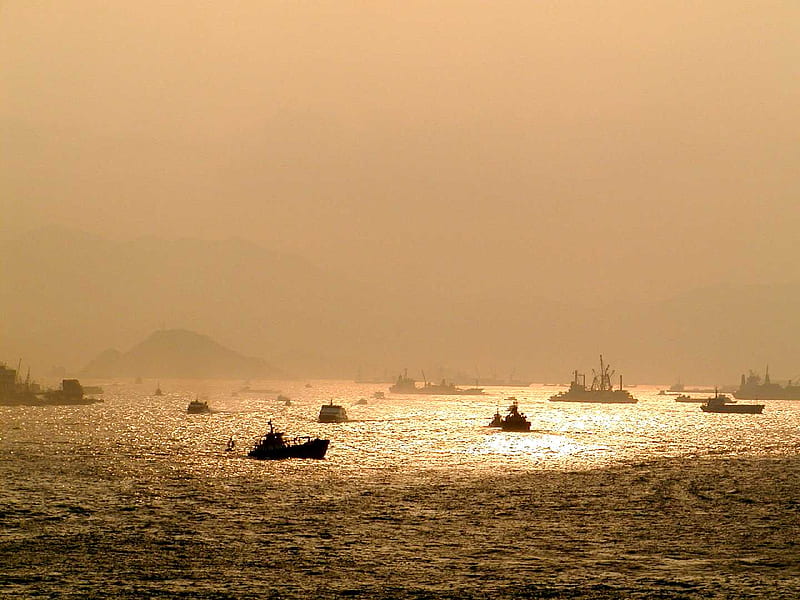 Hongkong Harbour, boats, water, harbour, golden, sunshine, HD wallpaper