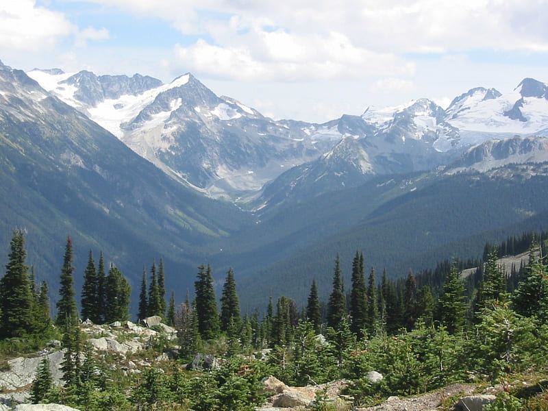 Whistler-British Columbia, Mountains, Trees, Whistler, British Columbia, HD wallpaper