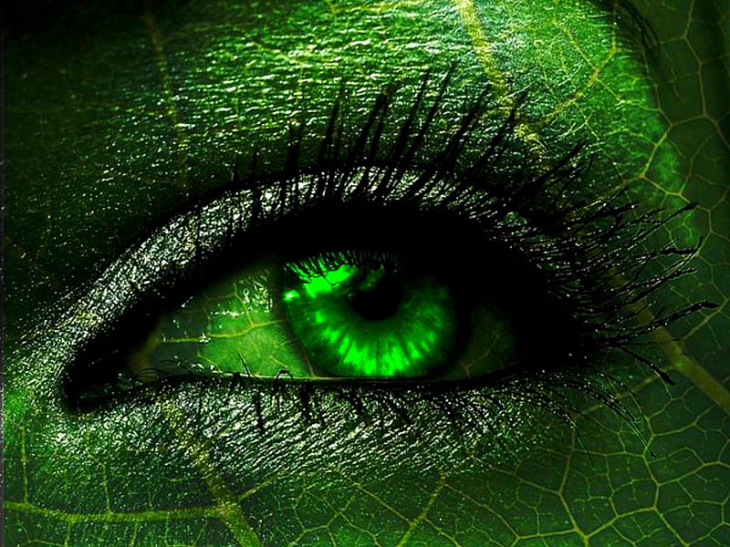 EYE OF A GREEN LEAF, green, eye, veins, cornea, lashes, lids, leaf, HD wallpaper