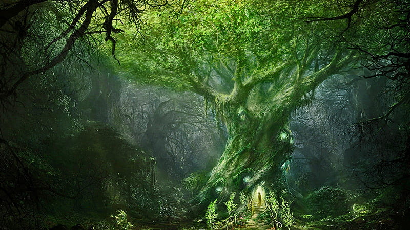 Final Passage, forest, tree, fantasy, magic, druid, wizard, HD wallpaper