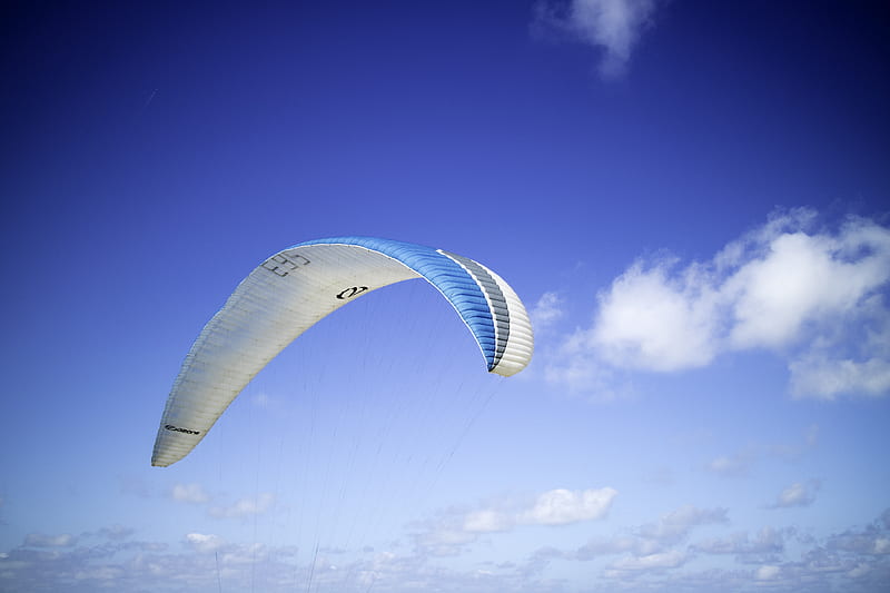 blue and white paragliding, HD wallpaper