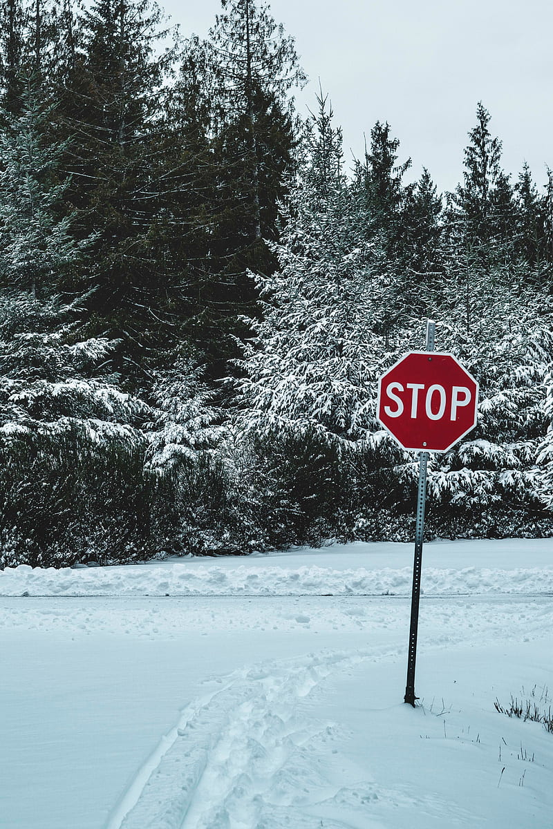 sign, stop, snow, trees, nature, HD phone wallpaper