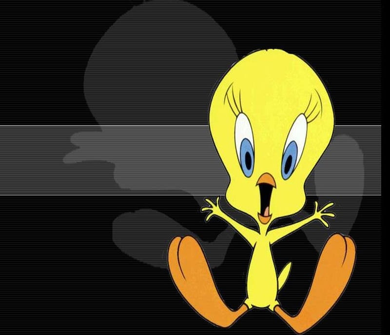 Tweety Bird, cartoons, HD wallpaper | Peakpx