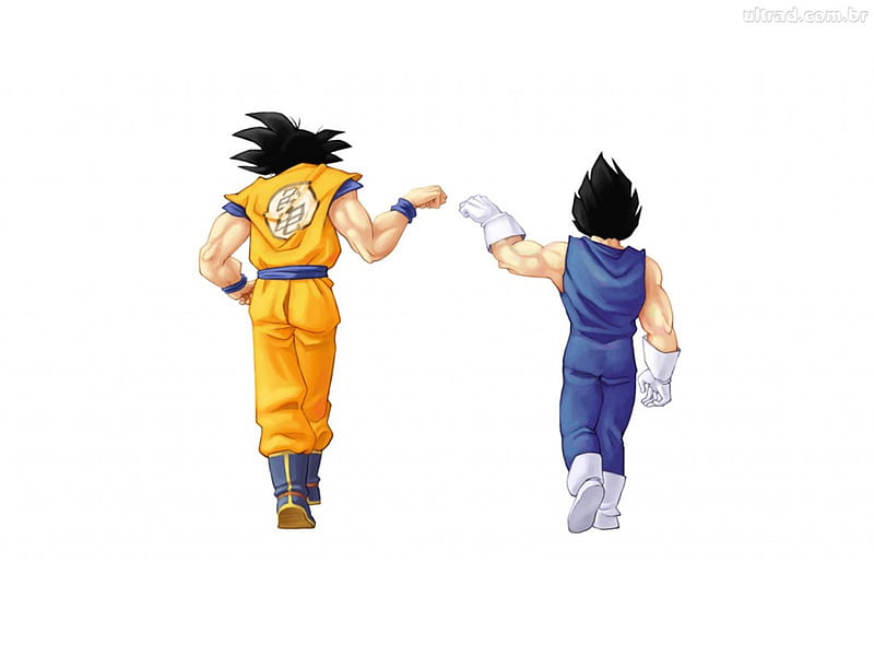 Goku vegeta camina asombrosamente, goku, blancas, vegeta, cielo, Fondo de  pantalla HD | Peakpx
