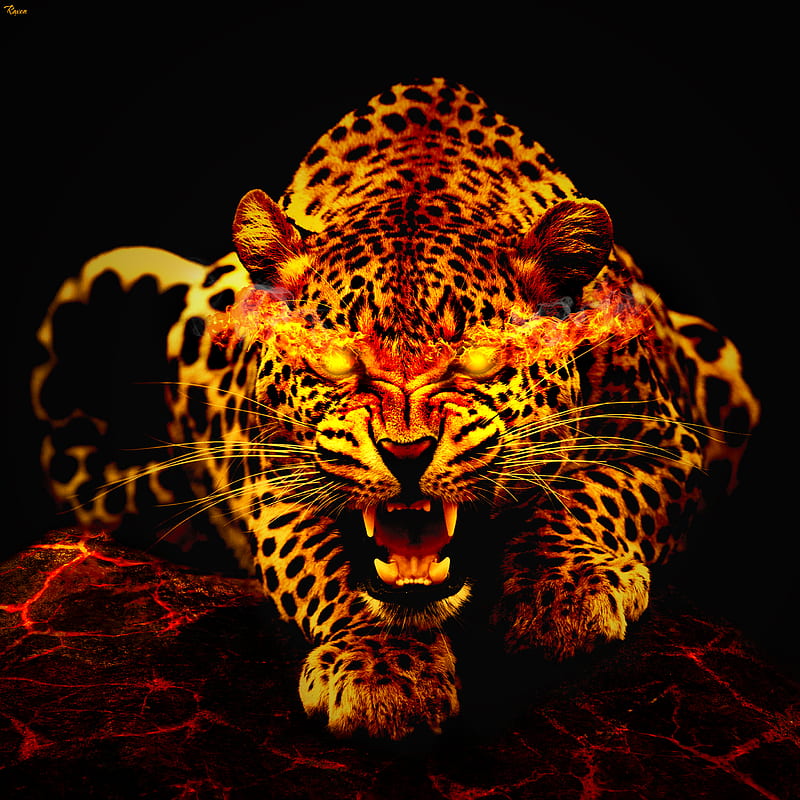 leopard, fire, jaws, HD phone wallpaper