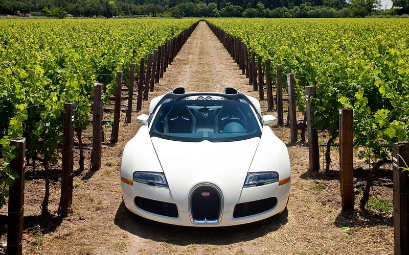 Bugatti Veyron 16.4 Grand Sport, Veyron, german, car, auto, Napa Valley, Bugatti, Grand Sport, HD wallpaper