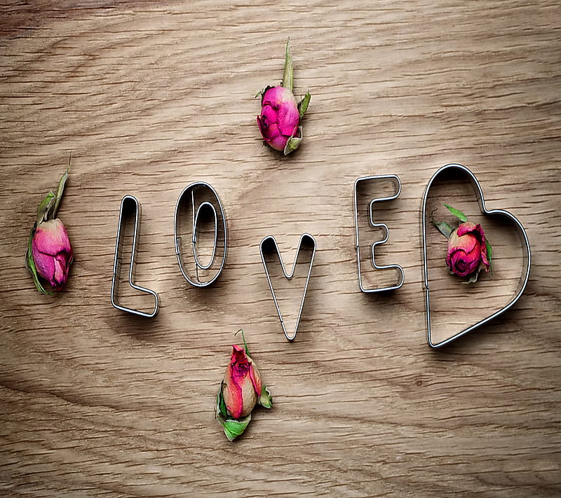 Love And Roses, bud, wood, HD wallpaper