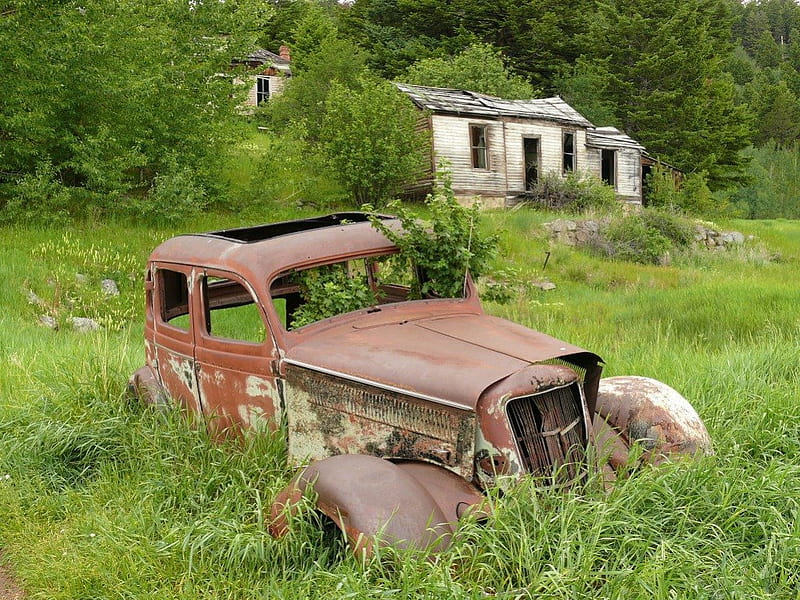 DAYS GONE BY, forest, grass, houses, farms, overgrowth, trees, green, trucks, fields, vintage, abandoned, HD wallpaper