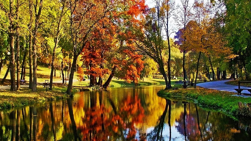 Beautiful Autumn Park, Fall, grass, park, trees, pond, water, walkway ...