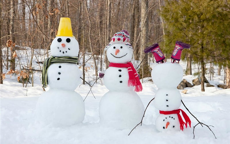 Happy Holidays, Christmas, Holiday, snowman, snow, HD wallpaper Happy Holidays, Christmas, Holiday, snowman, snow, HD wallpaper