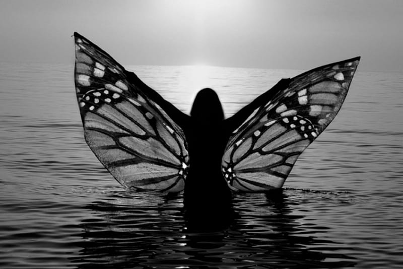 Niña mariposa, alas, océano, ángel, en blanco y negro, bonito, ala, mujer,  silueta, Fondo de pantalla HD | Peakpx