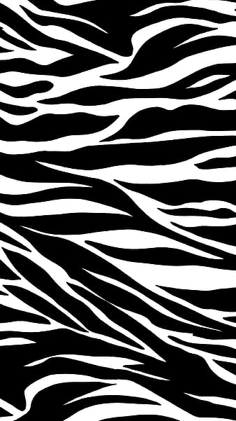 48 Zebra Print Wallpaper  WallpaperSafari