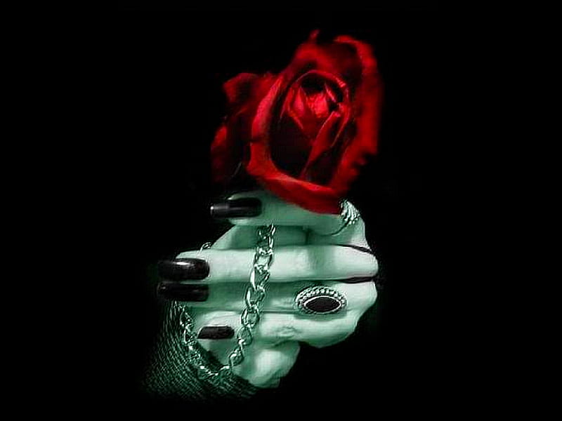 GOTHIC ROSE, bracelet, red, holds, rose, fingers, rings, nail polish, dark, hand, long nails, HD wallpaper