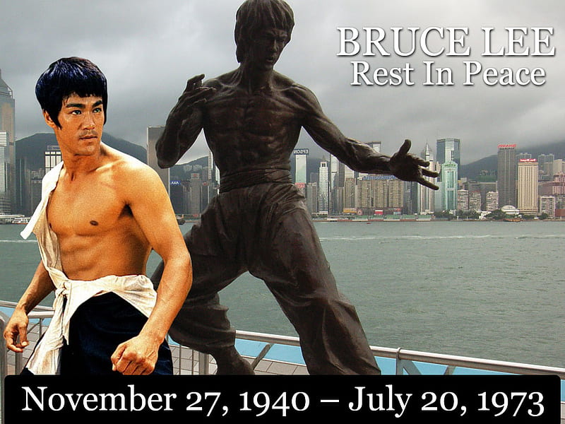 Bruce Lee, martial arts, HD wallpaper | Peakpx