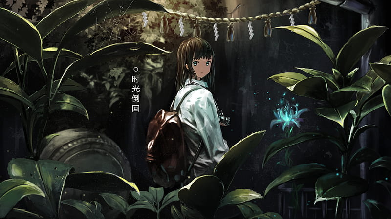 anime girl, forest, leaves, plants, Anime, HD wallpaper