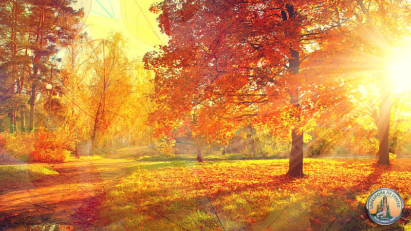 Planning an RV Michigan Fall Color Tour. Lakeshore RV Blog, Michigan Autumn, HD wallpaper