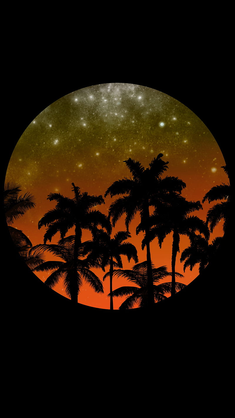 starry night, palm, beach, black, circle, dark light, sea, sky, stars, sunset, tree, HD phone wallpaper