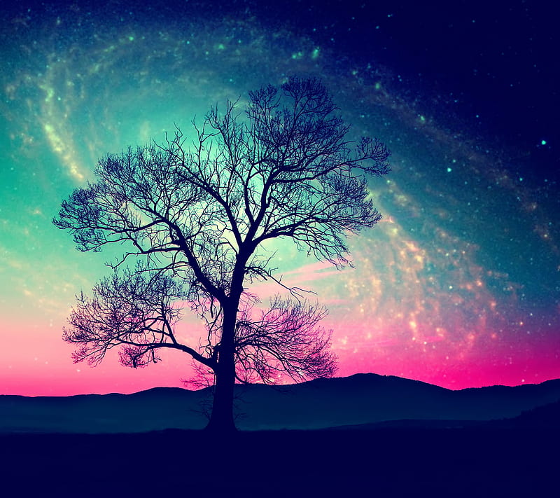 Tree, abstract, field, galaxy, night, HD wallpaper