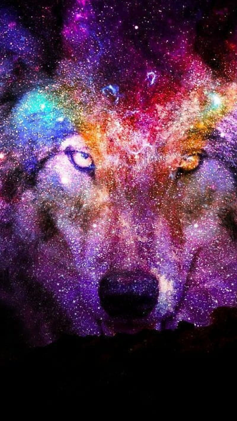 WOLF GALAXY, fox, galaxy, howl, wolf, HD phone wallpaper | Peakpx