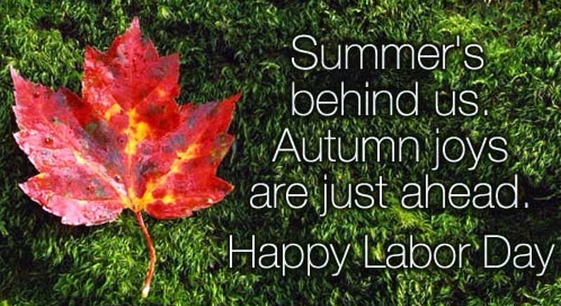 Labor Day, Lador, Grass, Leaves, Nature, Day, HD wallpaper
