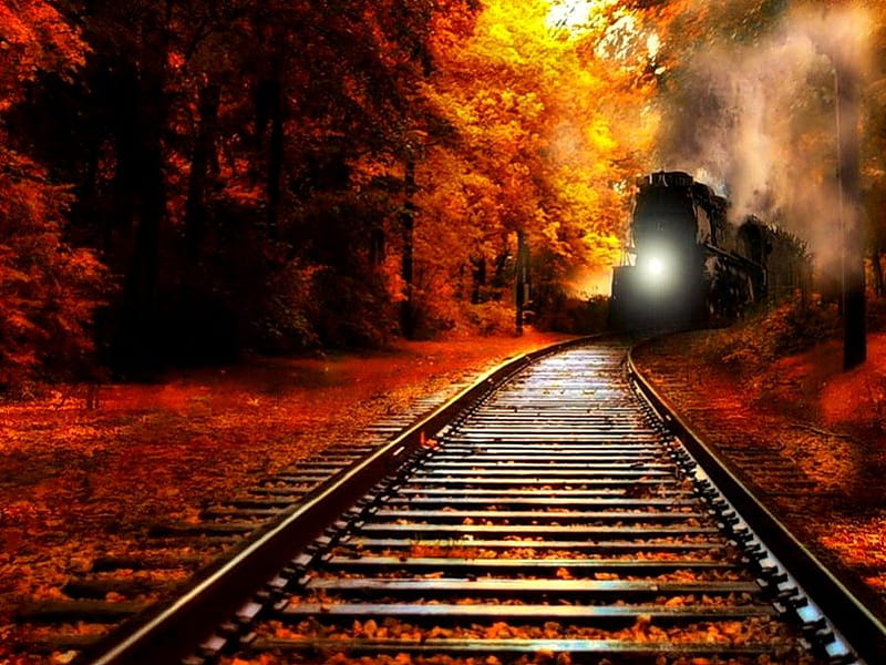 Train in forest fall, forest, fall, colors, bonito, colorfulmagic, leaves,  train, HD wallpaper | Peakpx