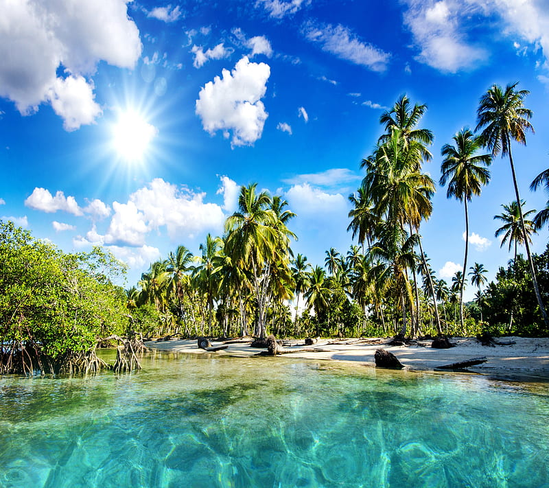 Tropical Paradise, paradise, tropical, HD wallpaper | Peakpx