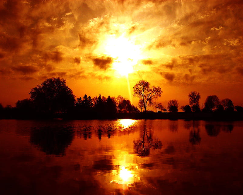 Gold Sunset, sun, background, afternoon, sundown, nice, gold bright, waterscape, paisage, wood, sunbeam, sunrises, dawn, brightness, explosion, fire, sunrays, white, red, ambar, bonito, leaves, amber, scenery, night, lakes, shadow, maroon, paisagem, day, nature reflected, branches, pc, scene, orange, yellow, clouds, cenario, lightness, calm, scenario, beauty, forests, evening, islands, paysage, cena, golden, black, trees, lagoons, water, cool, awesome, sunshine, hop, fullscreen, landscape, brown, laguna, trunks, graphy, sunsets, grove, mirror, river, light, tranquility, amazing leaf, plants, reflections, natural, HD wallpaper