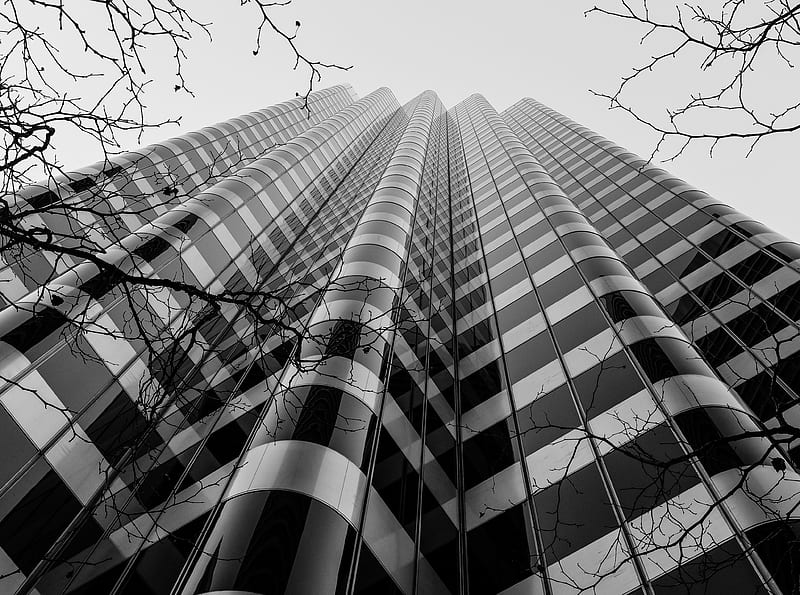 skyscraper black and white