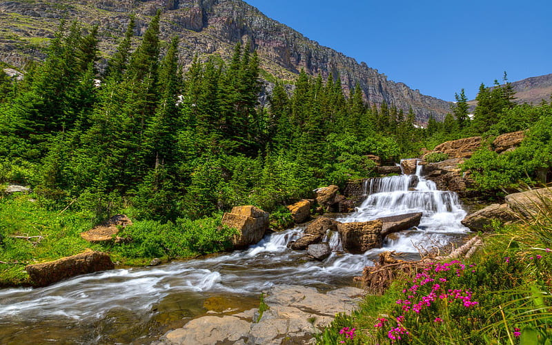 Waterfall, mountain river, summer, mountain, mountain landscape, flowers, HD wallpaper